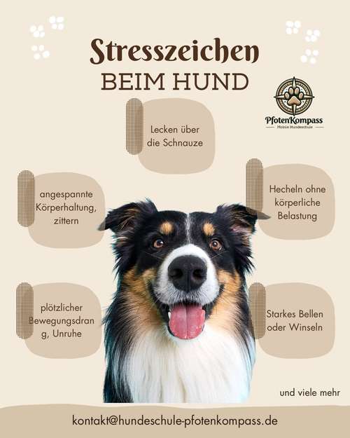 Hundeauslaufgebiet-Pfotenkompass - mobile Hundeschule -Bild