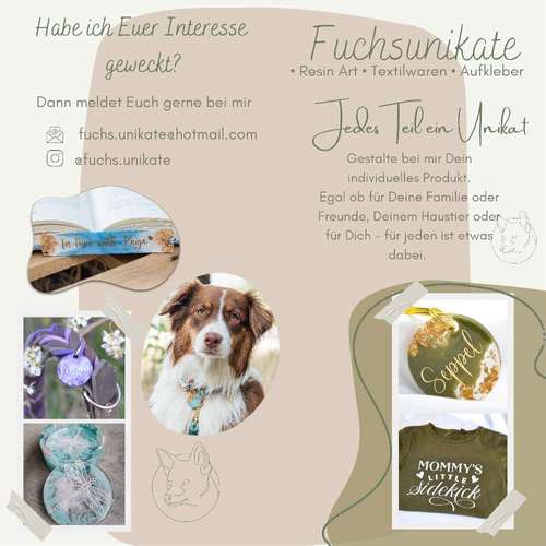 Hundeauslaufgebiet-Fuchsunikate-Bild