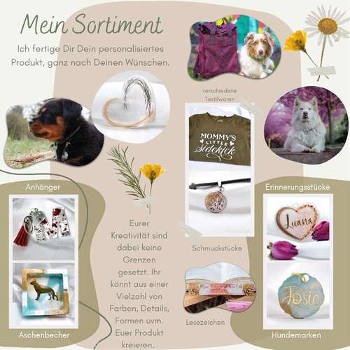 Hundeauslaufgebiet-Fuchsunikate-Bild