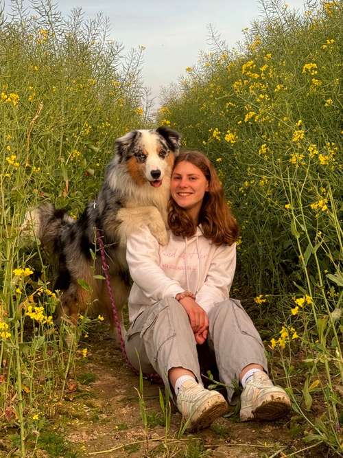 Hundeauslaufgebiet-Hund mit Herz-Bild