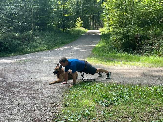 Hundeauslaufgebiet-Dogbootcamp in Winterthur by Stephi-Bild