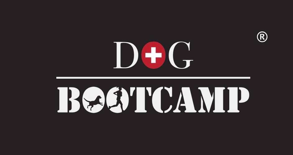 Hundeauslaufgebiet-Dogbootcamp in Winterthur by Stephi-Bild