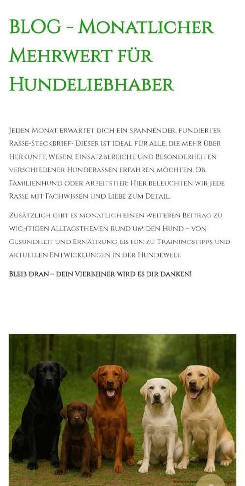Hundeauslaufgebiet-Lave's Way Dog Training-Bild