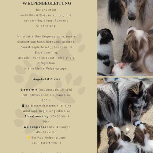 Hundeauslaufgebiet-Nayara Hundetraining -Bild