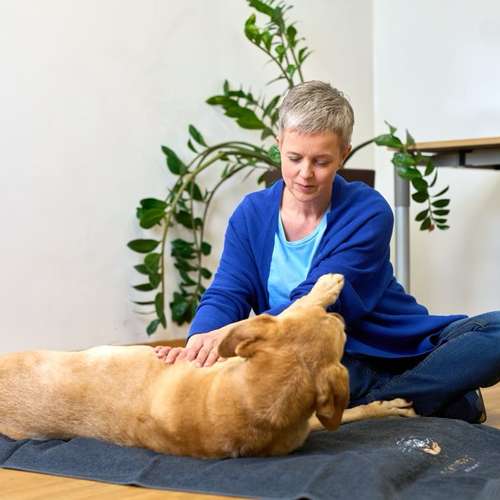 Hundeauslaufgebiet-Soulway e.U.-Bild