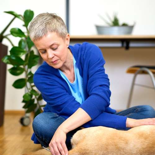 Hundeauslaufgebiet-Soulway e.U.-Bild