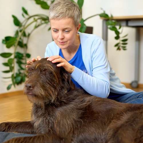 Hundeauslaufgebiet-Soulway e.U.-Bild