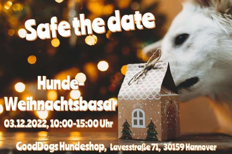 Hundeauslaufgebiet-GoodDogs Hundeshop-Bild