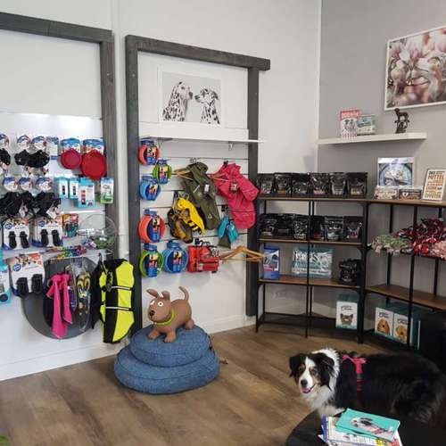 Hundeauslaufgebiet-GoodDogs Hundeshop-Bild