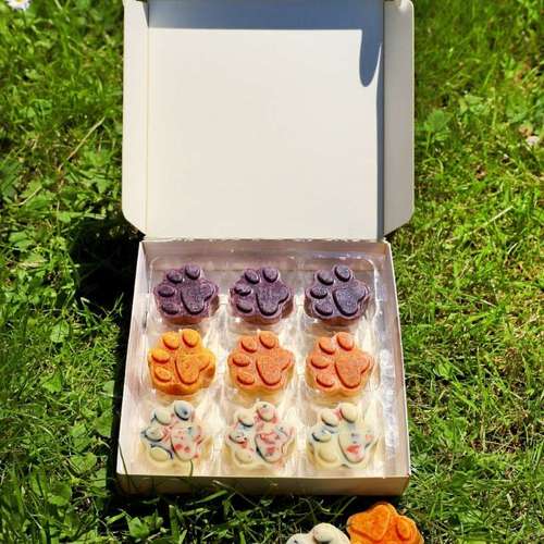 Hundeauslaufgebiet-GoodDogs Hundeshop-Bild