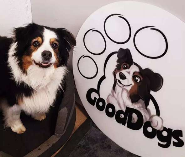 Hundeauslaufgebiet-GoodDogs Hundeshop-Bild