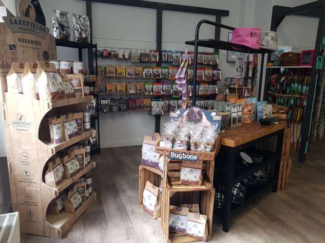 Hundeauslaufgebiet-GoodDogs Hundeshop-Bild