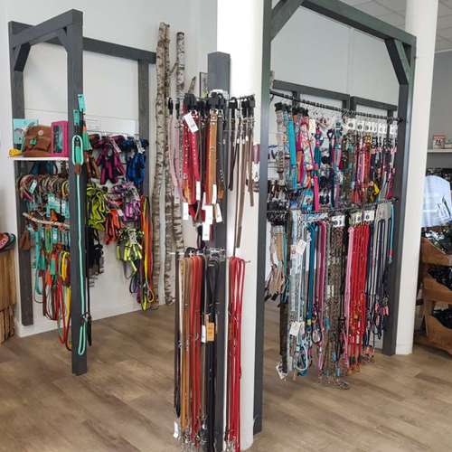 Hundeauslaufgebiet-GoodDogs Hundeshop-Bild