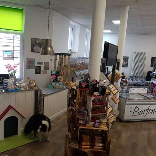 Hundeauslaufgebiet-GoodDogs Hundeshop-Bild
