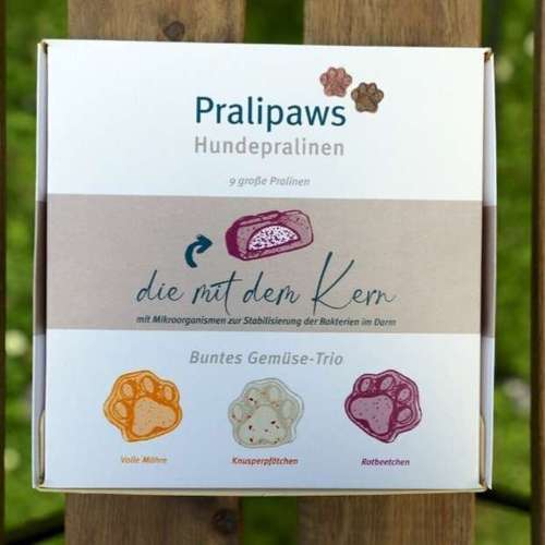 Hundeauslaufgebiet-GoodDogs Hundeshop-Bild