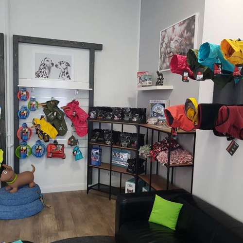 Hundeauslaufgebiet-GoodDogs Hundeshop-Bild