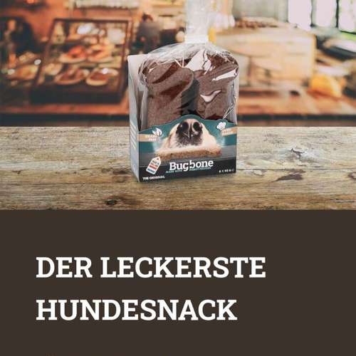 Hundeauslaufgebiet-GoodDogs Hundeshop-Bild