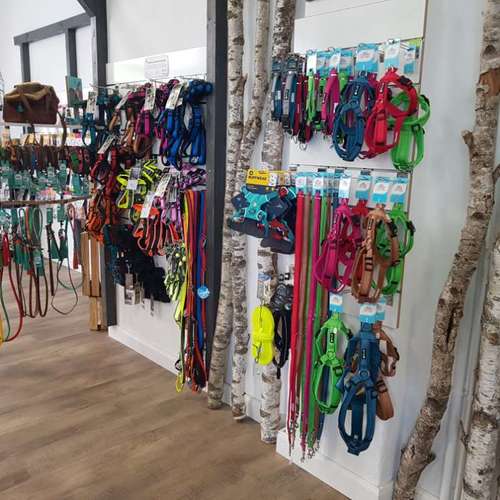 Hundeauslaufgebiet-GoodDogs Hundeshop-Bild