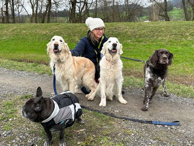 Hundeauslaufgebiet-Hundebetreuung Nino GmbH-Bild