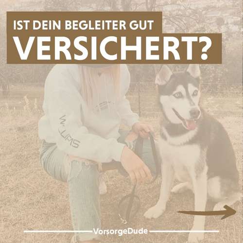 Hundeauslaufgebiet-VorsorgeDude-Bild