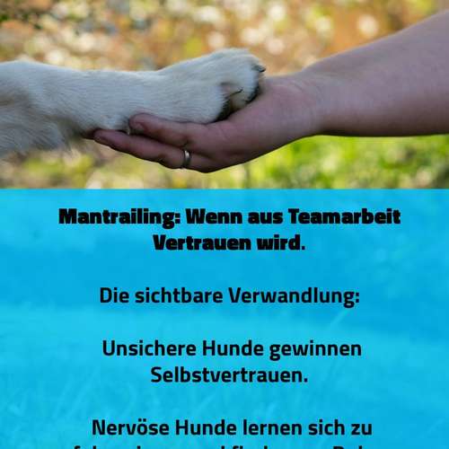 Hundeauslaufgebiet-Carina Schwarz Hundetraining & Verhaltensberatung-Bild