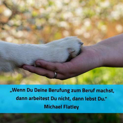 Hundeauslaufgebiet-Carina Schwarz Hundetraining & Verhaltensberatung-Bild