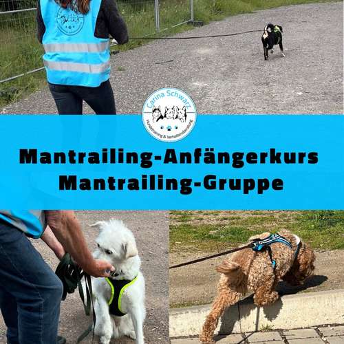 Hundeauslaufgebiet-Carina Schwarz Hundetraining & Verhaltensberatung-Bild