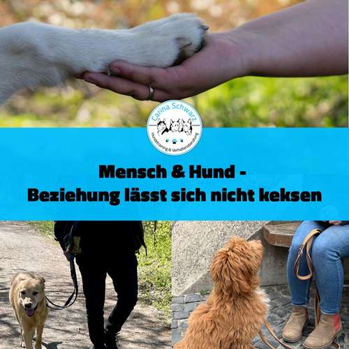Hundeauslaufgebiet-Carina Schwarz Hundetraining & Verhaltensberatung-Bild