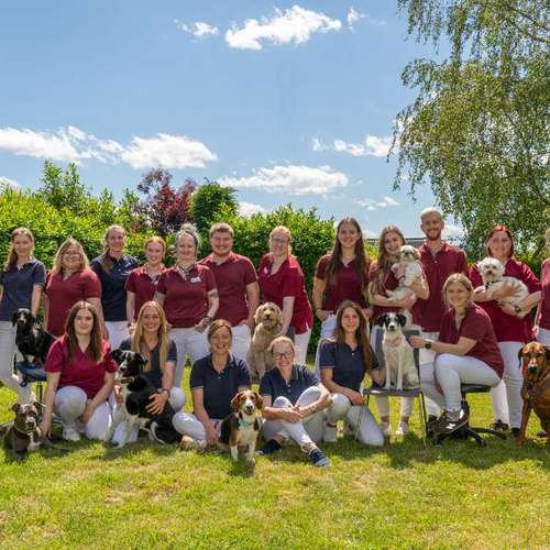 Hundeauslaufgebiet-Tierärztliches Zentrum Wehrheim-Bild