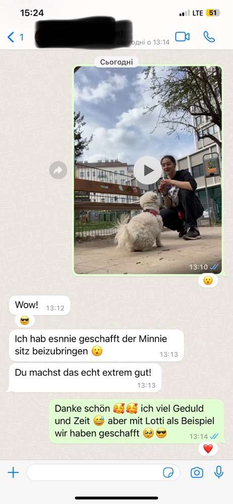 Hundeauslaufgebiet-Dogsitter-Bild