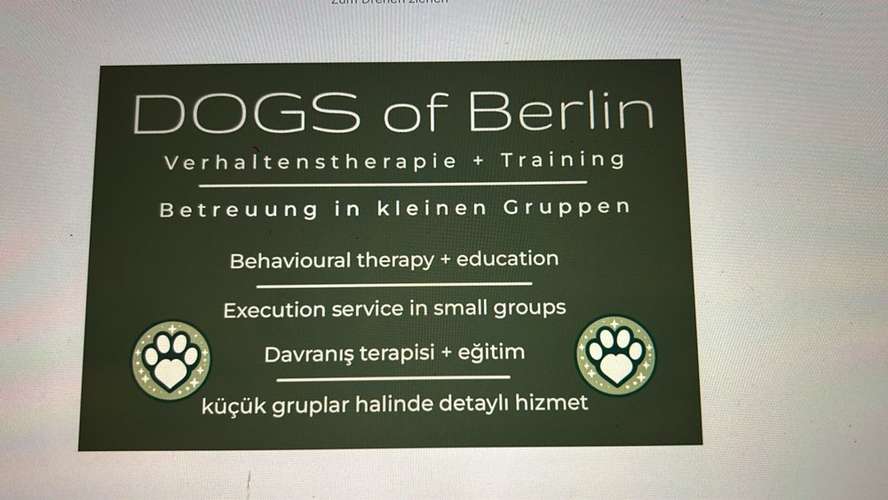 Hundeauslaufgebiet-DOGS of Berlin-Bild