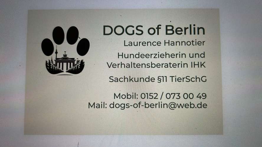 Hundeauslaufgebiet-DOGS of Berlin-Bild