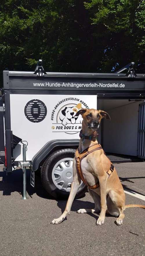 Hundeauslaufgebiet-Hunde-Anhängerverleih Nordeifel GbR-Bild