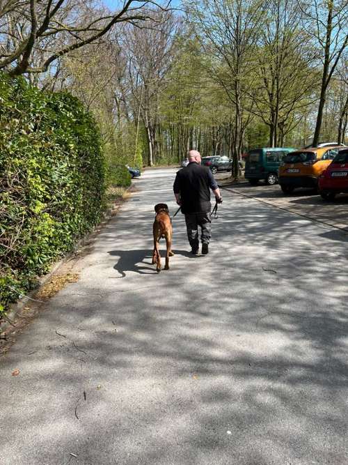 Hundeauslaufgebiet-Mobile DogCoaching-Bild