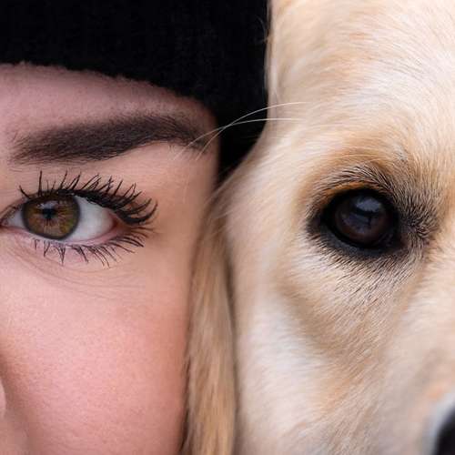 Hundeauslaufgebiet-Scherf Tierfotografie-Bild
