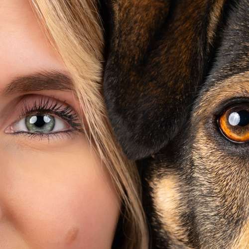 Hundeauslaufgebiet-Scherf Tierfotografie-Bild
