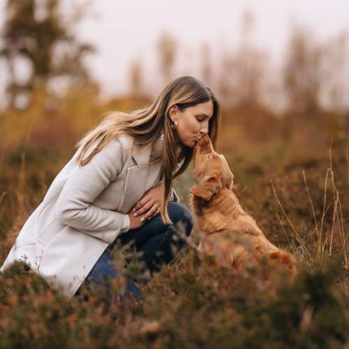 Hundeauslaufgebiet-Scherf Tierfotografie-Bild