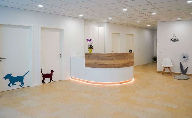 Hundeauslaufgebiet-Tierarztpraxis Eva Bodewig-Bild