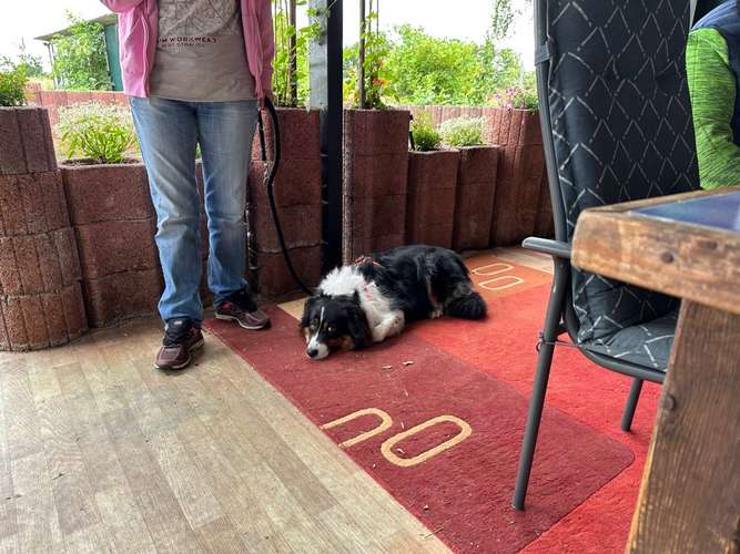 Hundeauslaufgebiet-Brigitte Hirsch-Bild