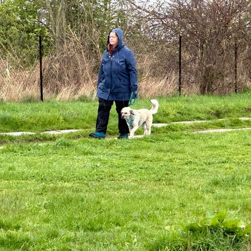 Hundeauslaufgebiet-Brigitte Hirsch-Bild