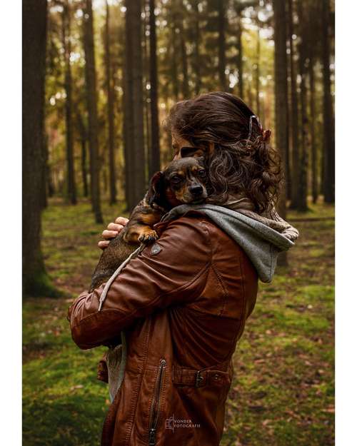 Hundeauslaufgebiet-Vonder Fotografie-Bild