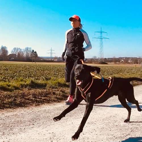 Hundeauslaufgebiet-CROSSDOG-Bild