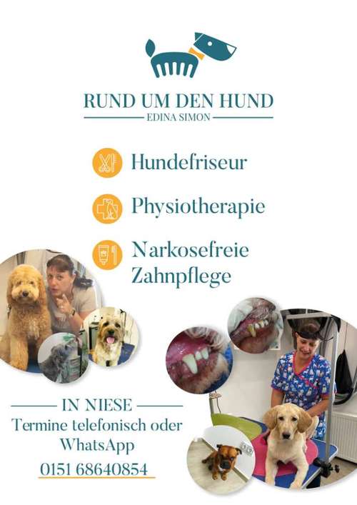 Hundeauslaufgebiet-Hundesalon - RUND UM DEN HUND-Bild