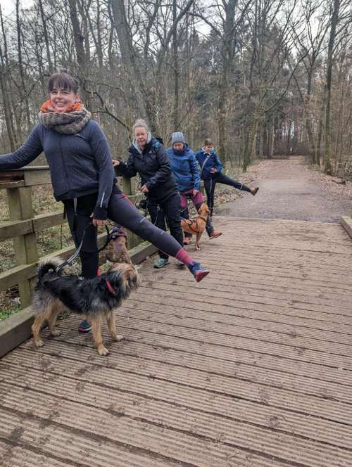 Hundeauslaufgebiet-Fitter mit Hund-Bild