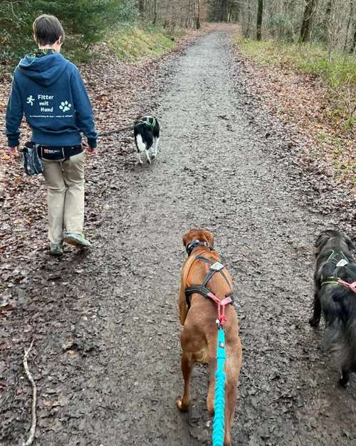 Hundeauslaufgebiet-Fitter mit Hund-Bild