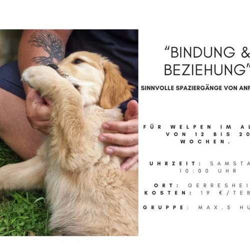 Hundeauslaufgebiet-Schnüffelschule Simons-Bild
