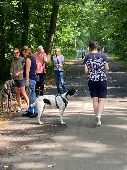 Hundeauslaufgebiet-Hundeschule SUPERDOG-Bild