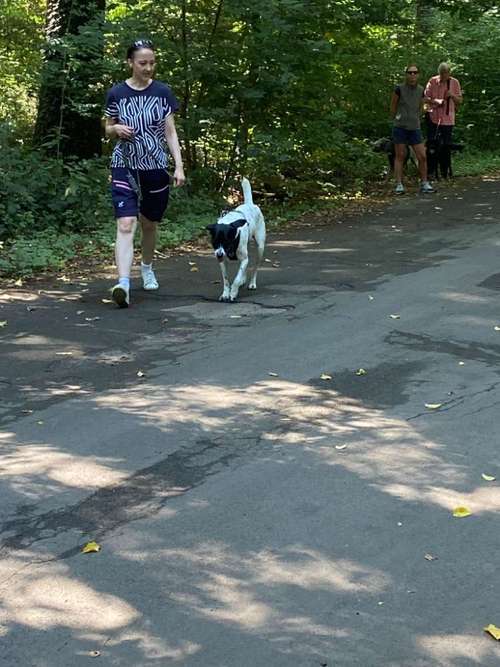 Hundeauslaufgebiet-Hundeschule SUPERDOG-Bild