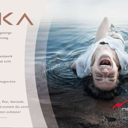 Hundeauslaufgebiet-Taika-Fotografie-Bild