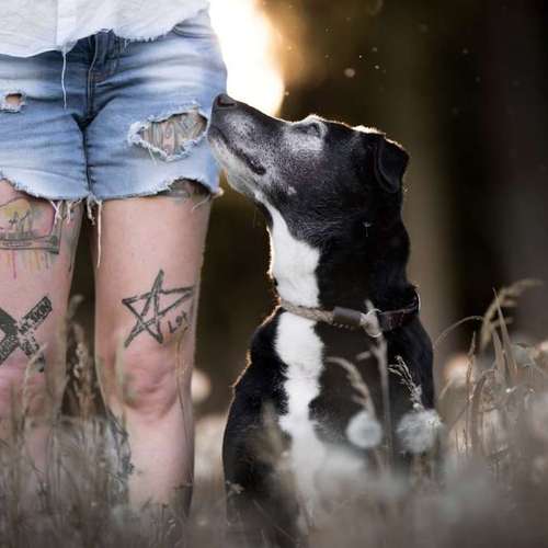 Hundeauslaufgebiet-Taika-Fotografie-Bild